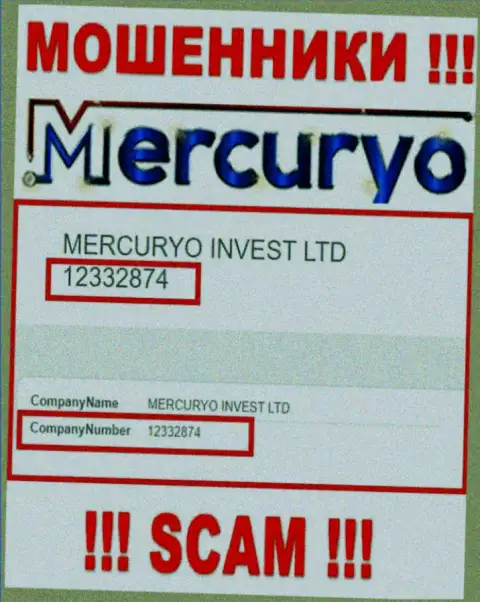 Регистрационный номер мошеннической конторы Меркурио: 12332874