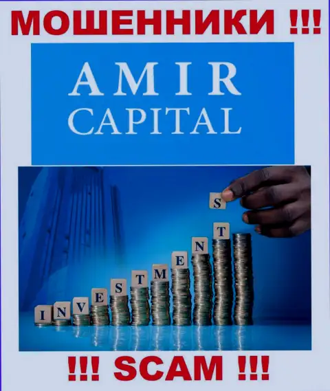 Не отправляйте денежные средства в AmirCapital, тип деятельности которых - Инвестиции