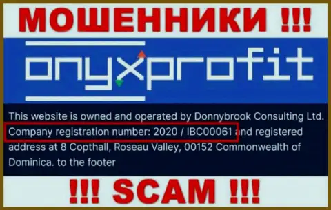 Рег. номер, который принадлежит конторе OnyxProfit - 2020 / IBC00061
