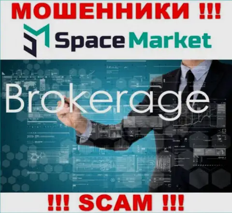 Область деятельности противозаконно действующей организации Space Market это Broker