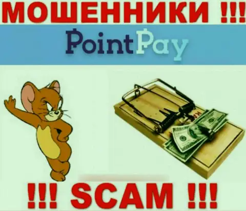 Point Pay - это ВОРЫ, не доверяйте им, если вдруг станут предлагать разогнать депозит