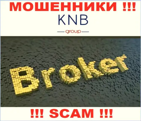Сфера деятельности мошеннической организации KNB Group - это Broker