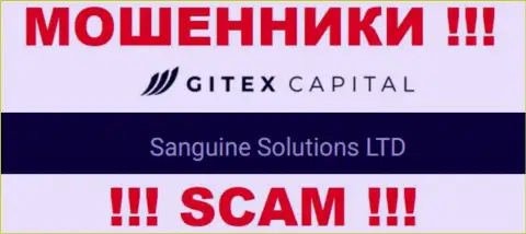 Юридическое лицо GitexCapital Pro это Sanguine Solutions LTD, такую инфу показали воры у себя на веб-ресурсе