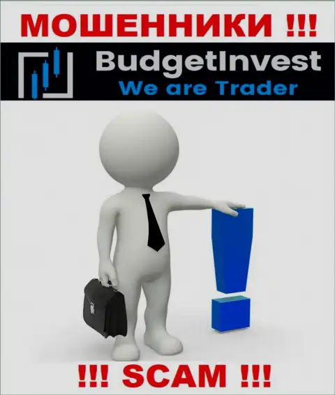 Budget Invest - это воры !!! Не говорят, кто конкретно ими управляет