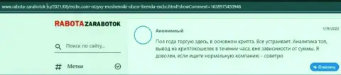 Очередной игрок делится информацией об Форекс дилере ЕХ Брокерс на сервисе rabota zarabotok ru