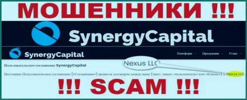 Юридическое лицо, владеющее internet-разводилами Synergy Capital - это Nexus LLC