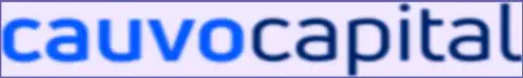 Лого компании Cauvo Capital