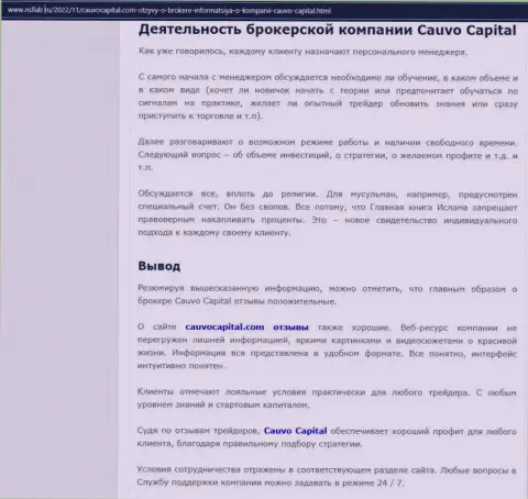Дилинговый центр Cauvo Capital представлен в информационной статье на портале Nsllab Ru