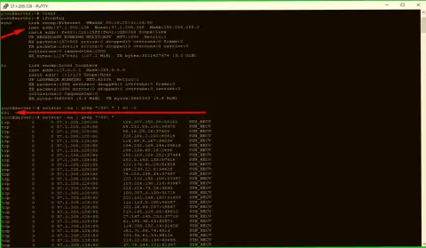 Пример ДДоСовские атаки на сервер maximarkets.pro